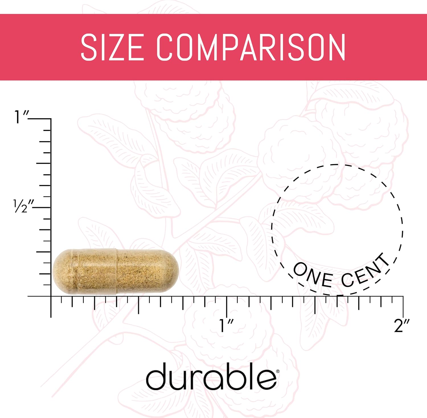 1 Bottle of Extra-Strength Bergamonte Citrus Bergamot & Olive Leaf Extract with Non-GMO Vitamin C - Natural Heart Supplement for Healthy Cholesterol Support - Made in USA