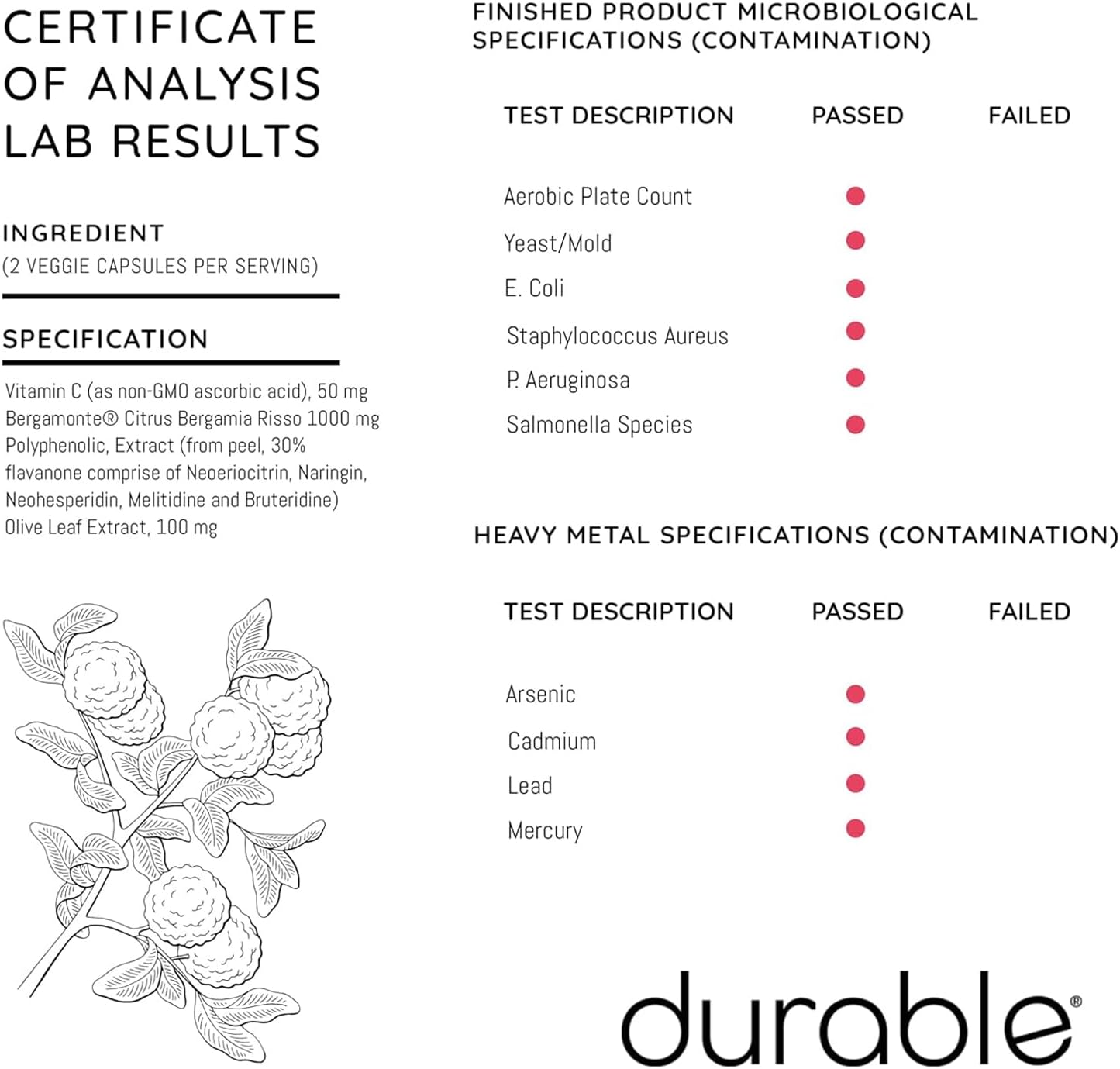 1 Bottle of Extra-Strength Bergamonte Citrus Bergamot & Olive Leaf Extract with Non-GMO Vitamin C - Natural Heart Supplement for Healthy Cholesterol Support - Made in USA