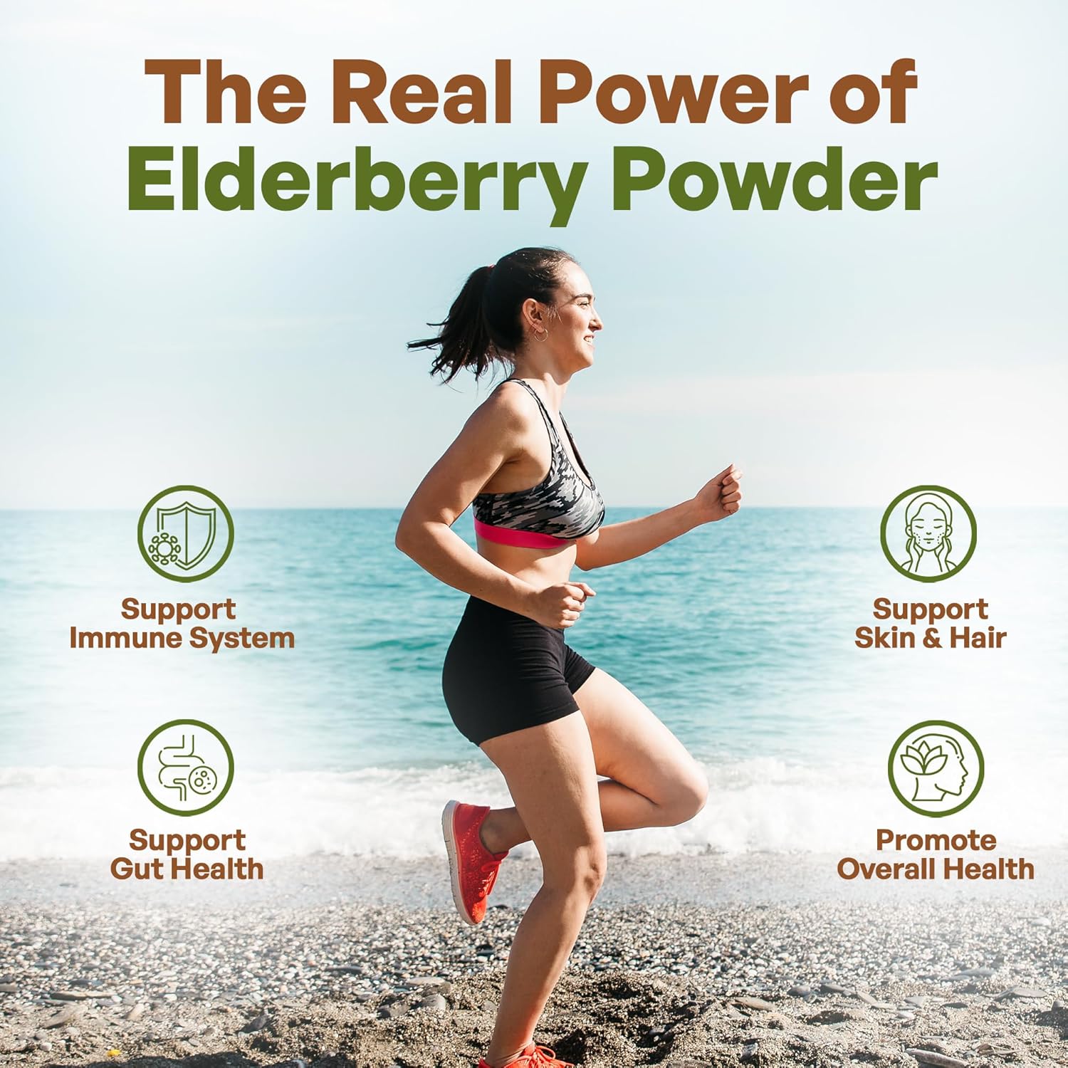 1 lb. Go Nutra Elderberry Powder - Non-GMO 10:1 Strength Extract Juice - Sambucus Nigra Supplement