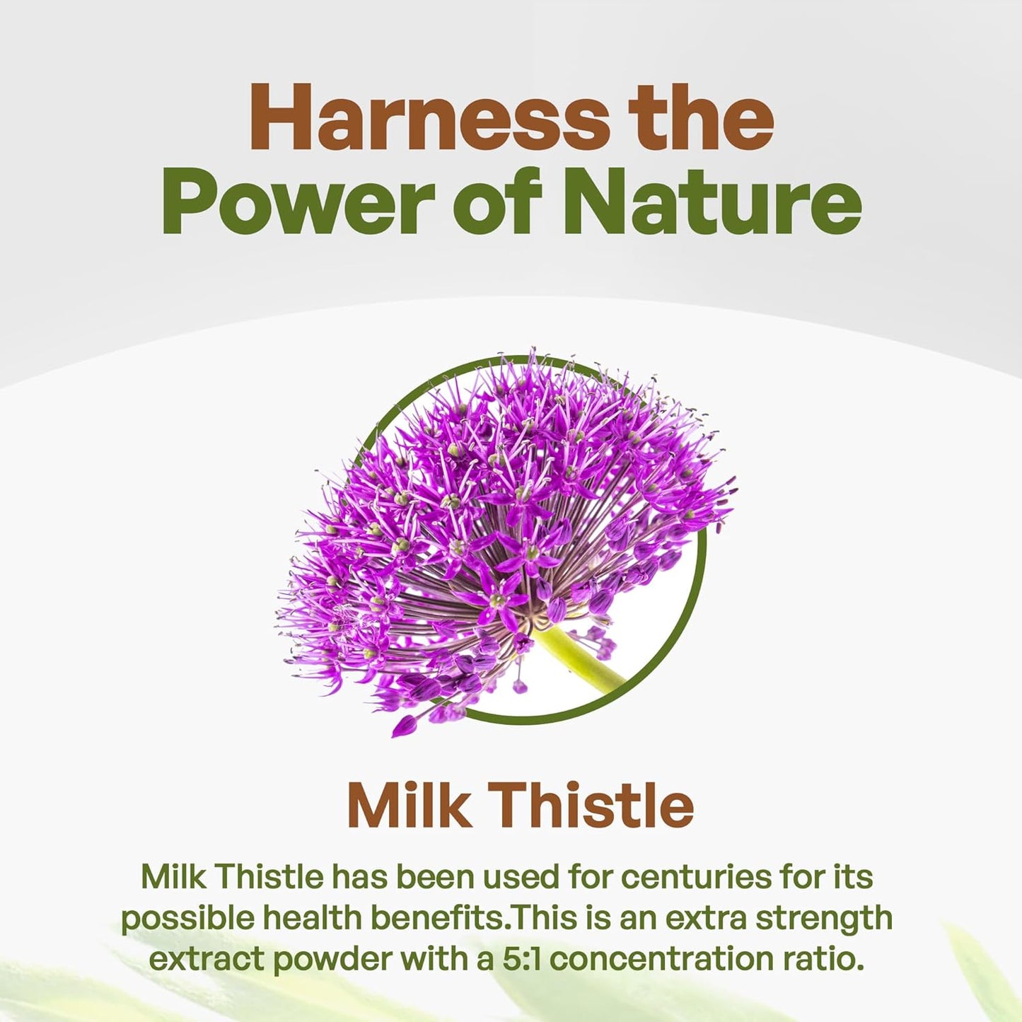 1 lb. Go Nutra Milk Thistle Extract Powder - 5:1 Strength Silymarin Supplement - Non-GMO Herbal Silybum Marianum