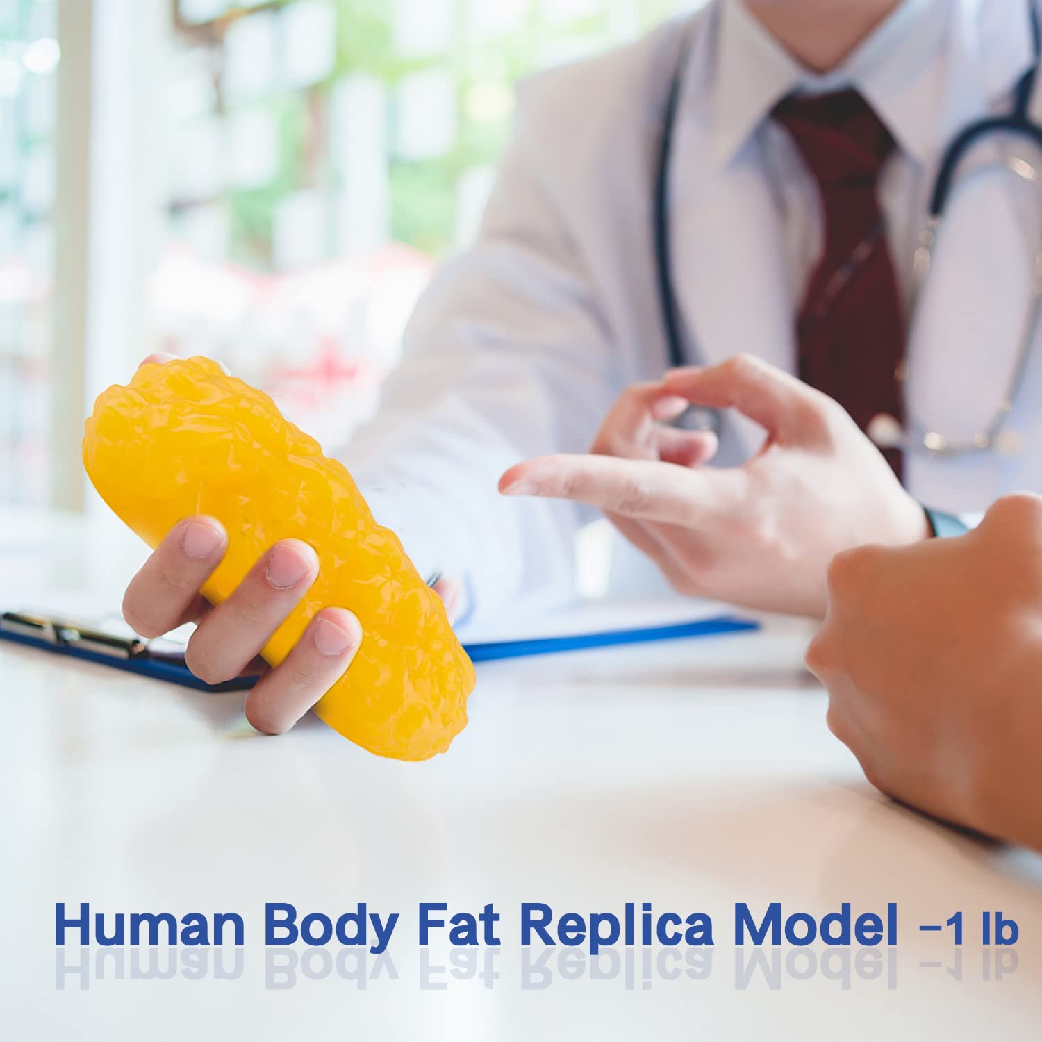 1 lb Human Body Fat Replica Model - Anatomy Class Display, Weight Loss Motivation, Stay Healthy Reminder