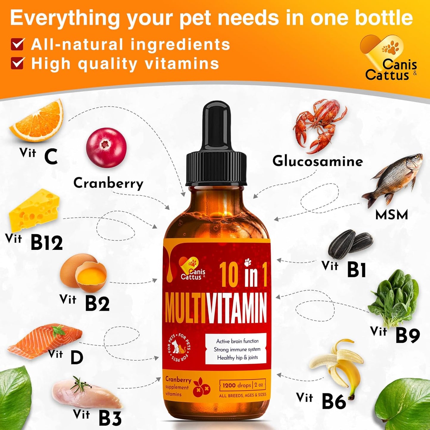 10-in-1 Canis&Cattus Cat Multivitamin & Dog Supplements Bundle