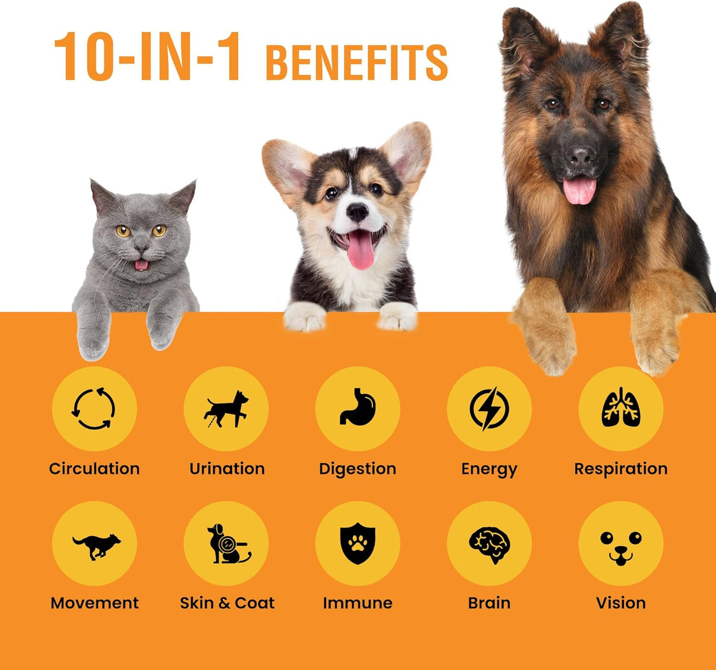 10-in-1 Liquid Multivitamin for Dogs and Cats, 4 oz with Glucosamine & Cranberry - Special Breed Multi Vitamin Supplement