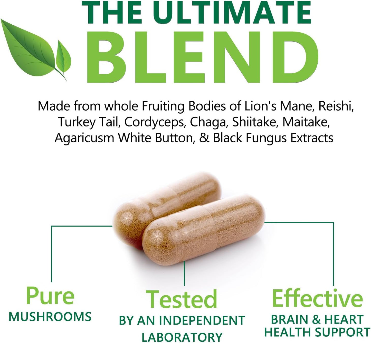 10-in-1 Mushroom Complex Capsules for Memory and Focus - Lions Mane, Turkey Tail, Reishi, Chaga, Cordyceps - Nootropic Brain Supplements - 60 Capsules