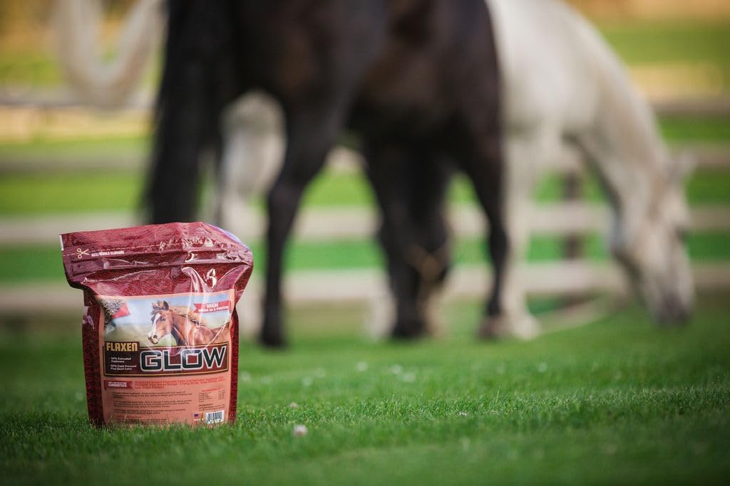10 lb Horse Guard Glow Supplement for Weight Gain, Coat Improvement, and Condition Boost with Omega-3's