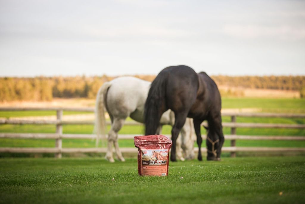 10 lb Horse Guard Glow Supplement for Weight Gain, Coat Improvement, and Condition Boost with Omega-3's