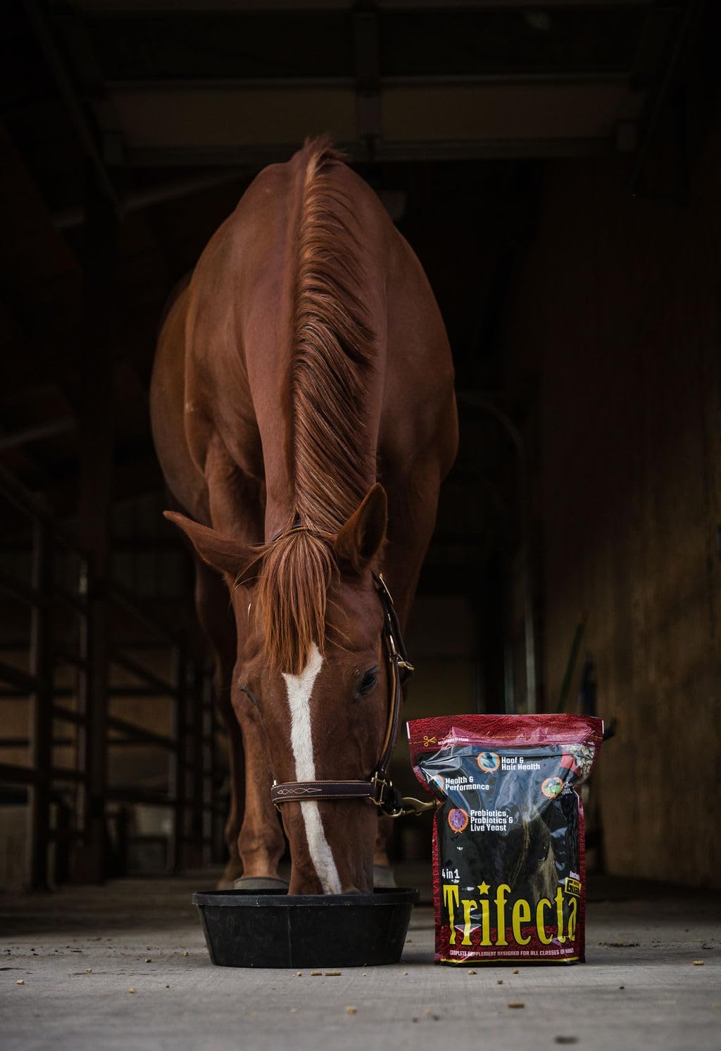 10 lb Horse Guard Trifecta: Complete Equine Vitamin Mineral Supplement with 4 Essential Nutrients