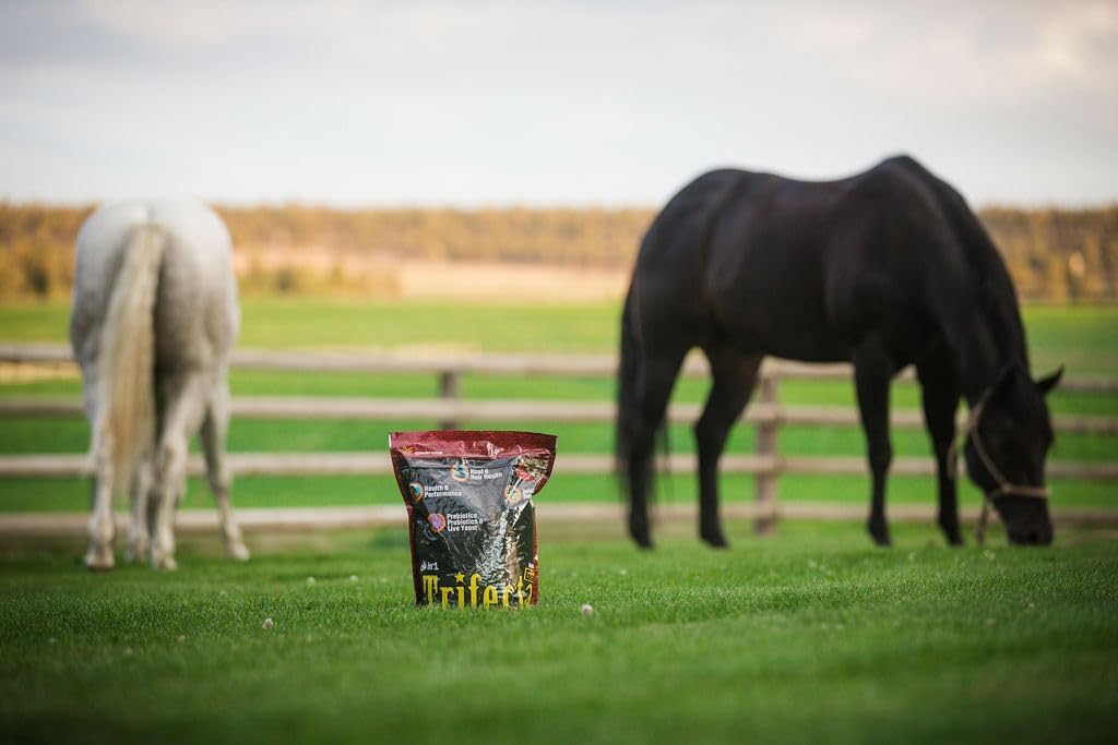 10 lb Horse Guard Trifecta: Complete Equine Vitamin Mineral Supplement with 4 Essential Nutrients