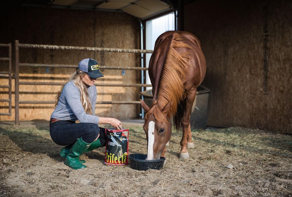10 lb Horse Guard Trifecta: Complete Equine Vitamin Mineral Supplement with 4 Essential Nutrients