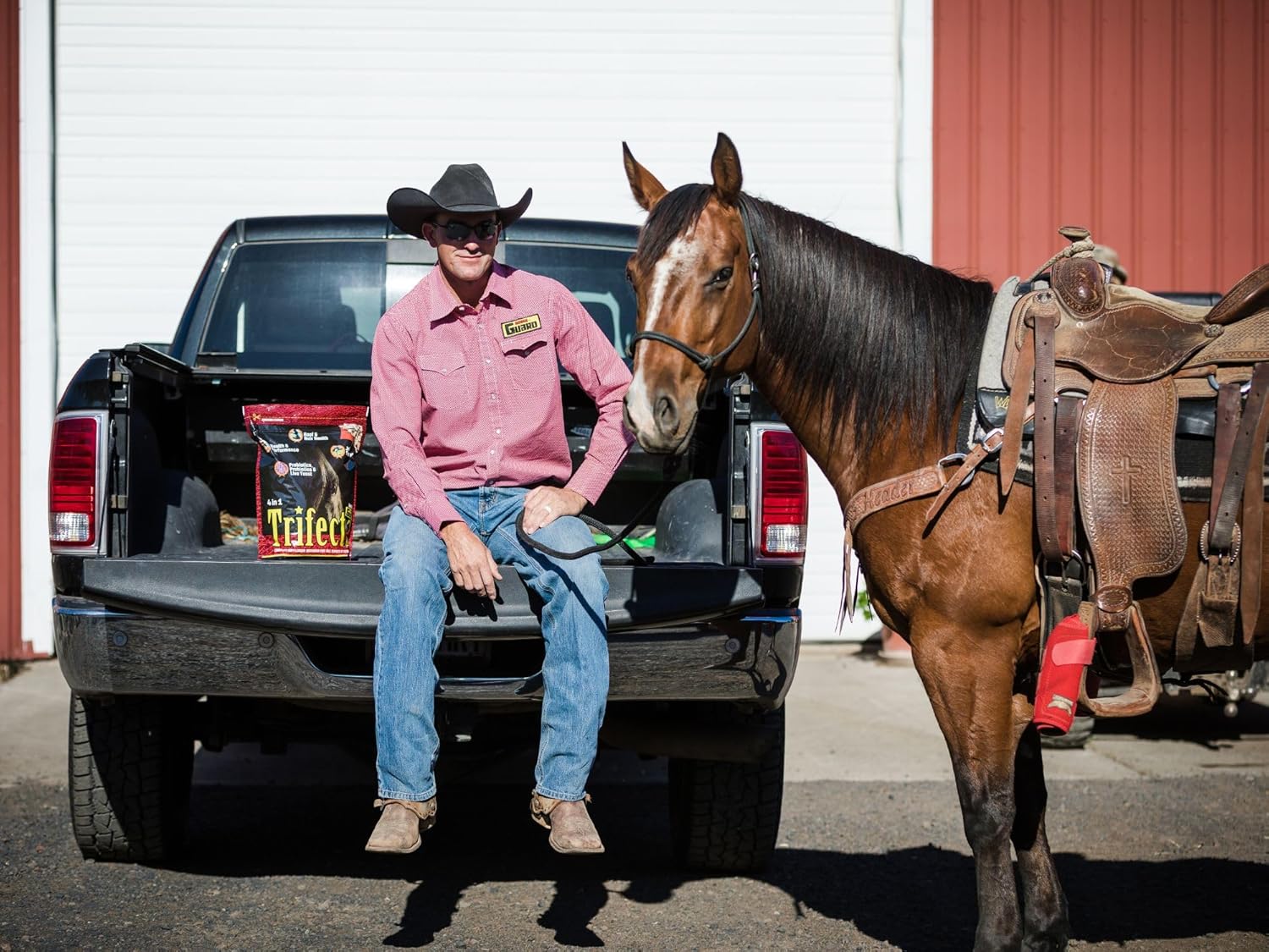 10 lb Horse Guard Trifecta: Complete Equine Vitamin Mineral Supplement with 4 Essential Nutrients