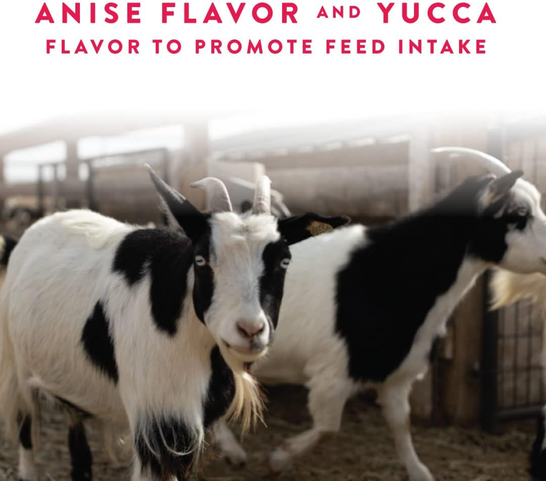 10 lb Manna Pro Goat Balancer Supplement for Optimal Health and Nutrition