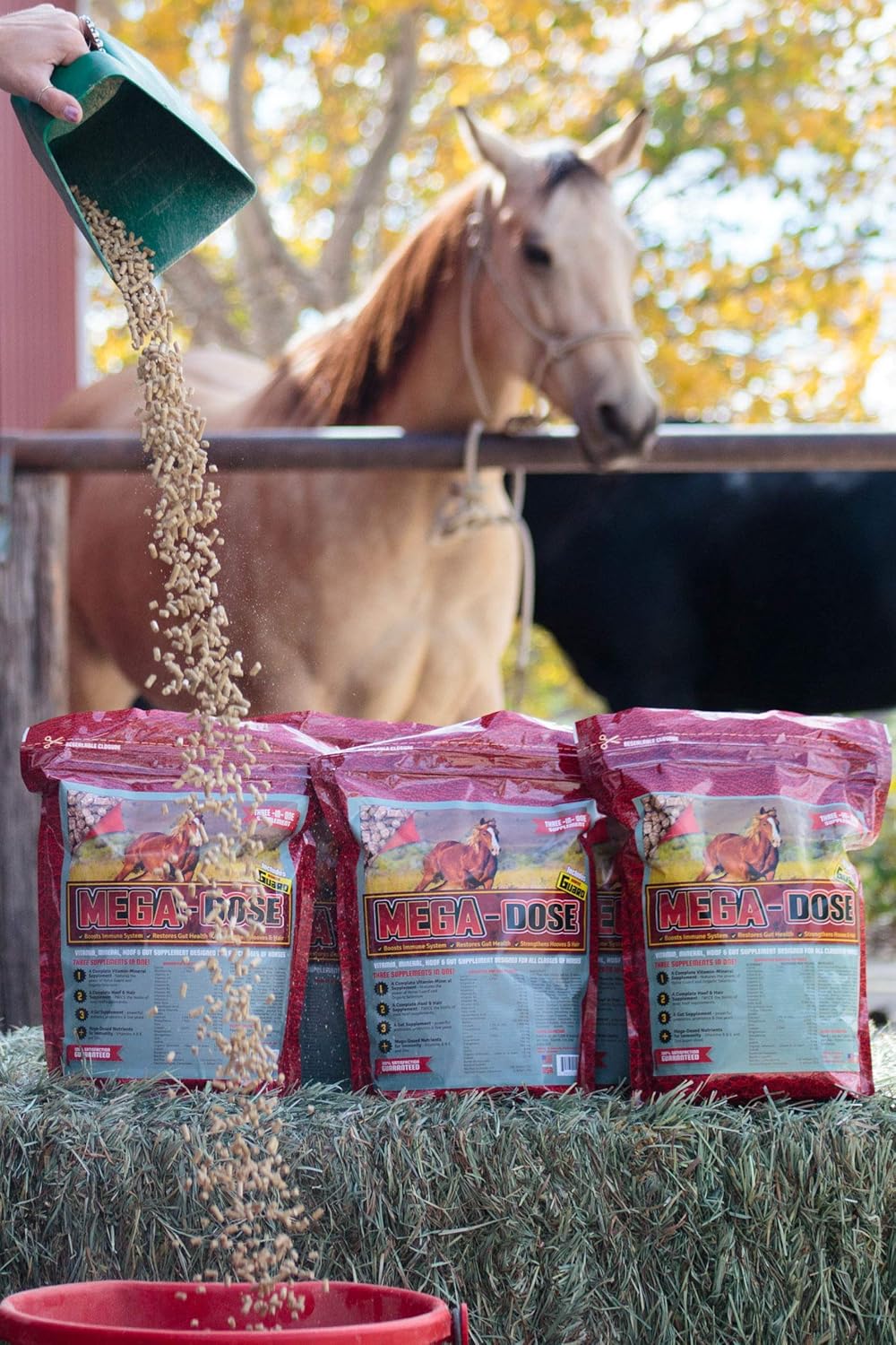10 lb Mega Dose Equine Vitamin Mineral with Full Horse Guard Supplement & Hoof Guard