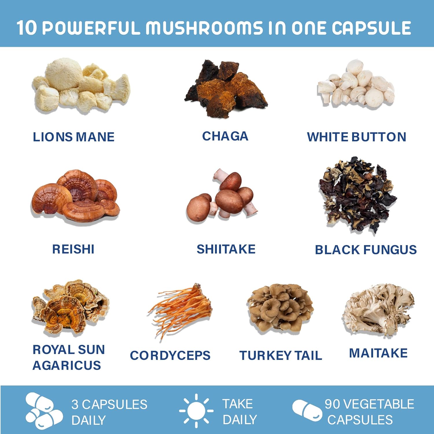 10 Mushroom Complex for Immune Support & Nootropic Brain Health - Lions Mane, Reishi, Cordyceps - Natural Energy & Stress Relief - Gluten Free, Non-GMO - 90 Veggie Capsules