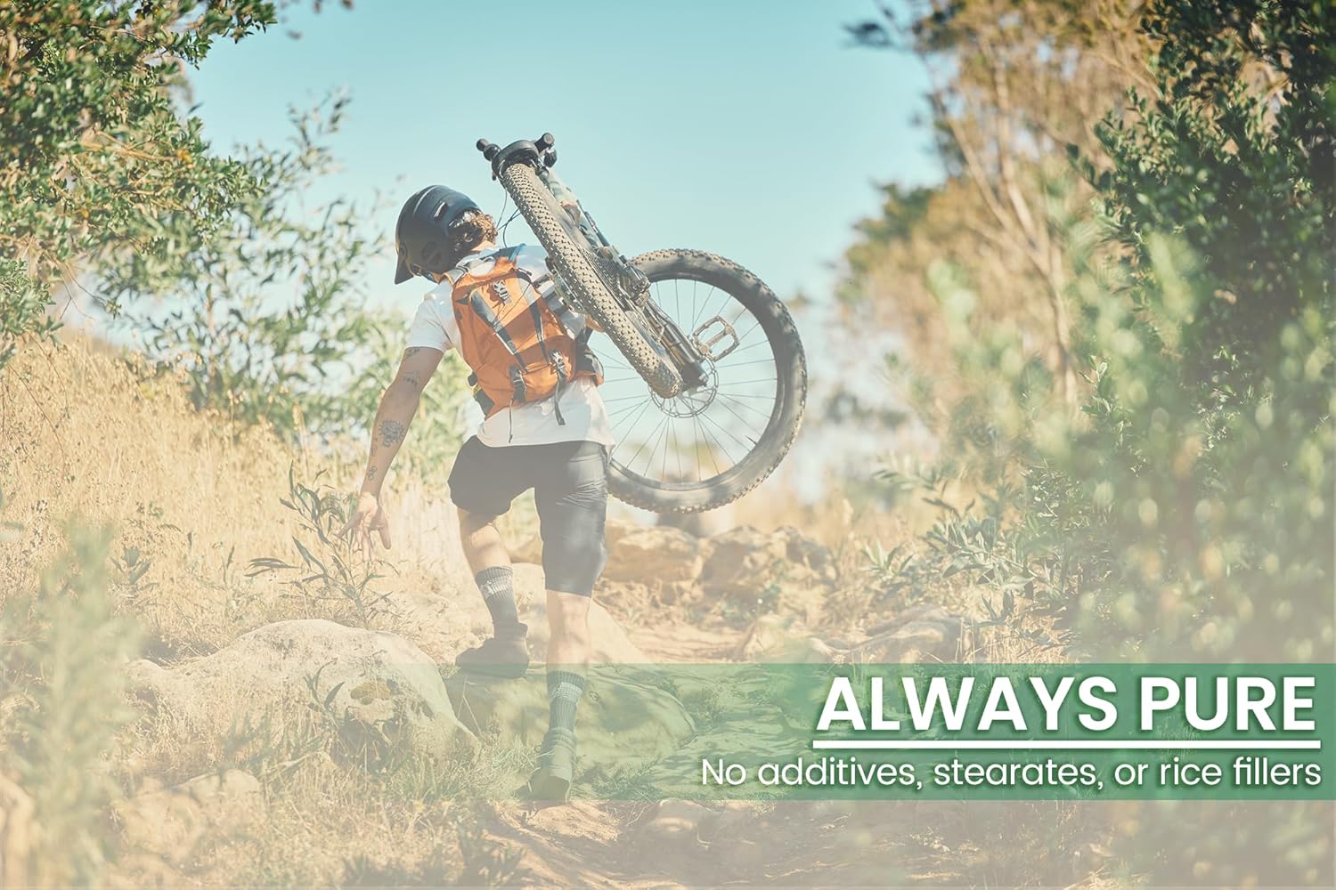 100 Capsules of Pure Cat's Claw Bark Extract - Lab Verified, No Additives or Fillers