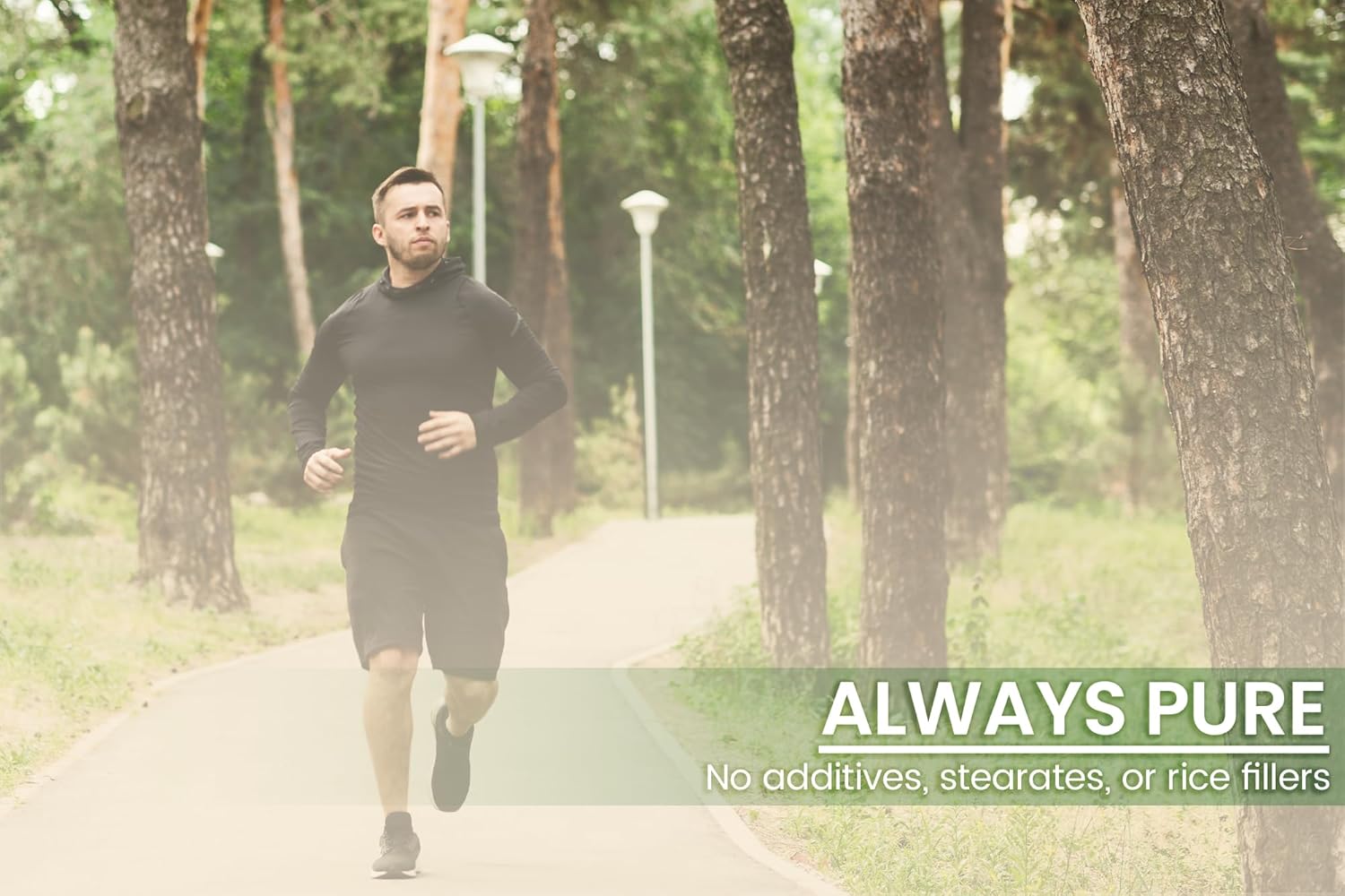 100 Capsules of Pure Green Coffee Bean Extract - No Additives or Fillers - Lab Verified Quality