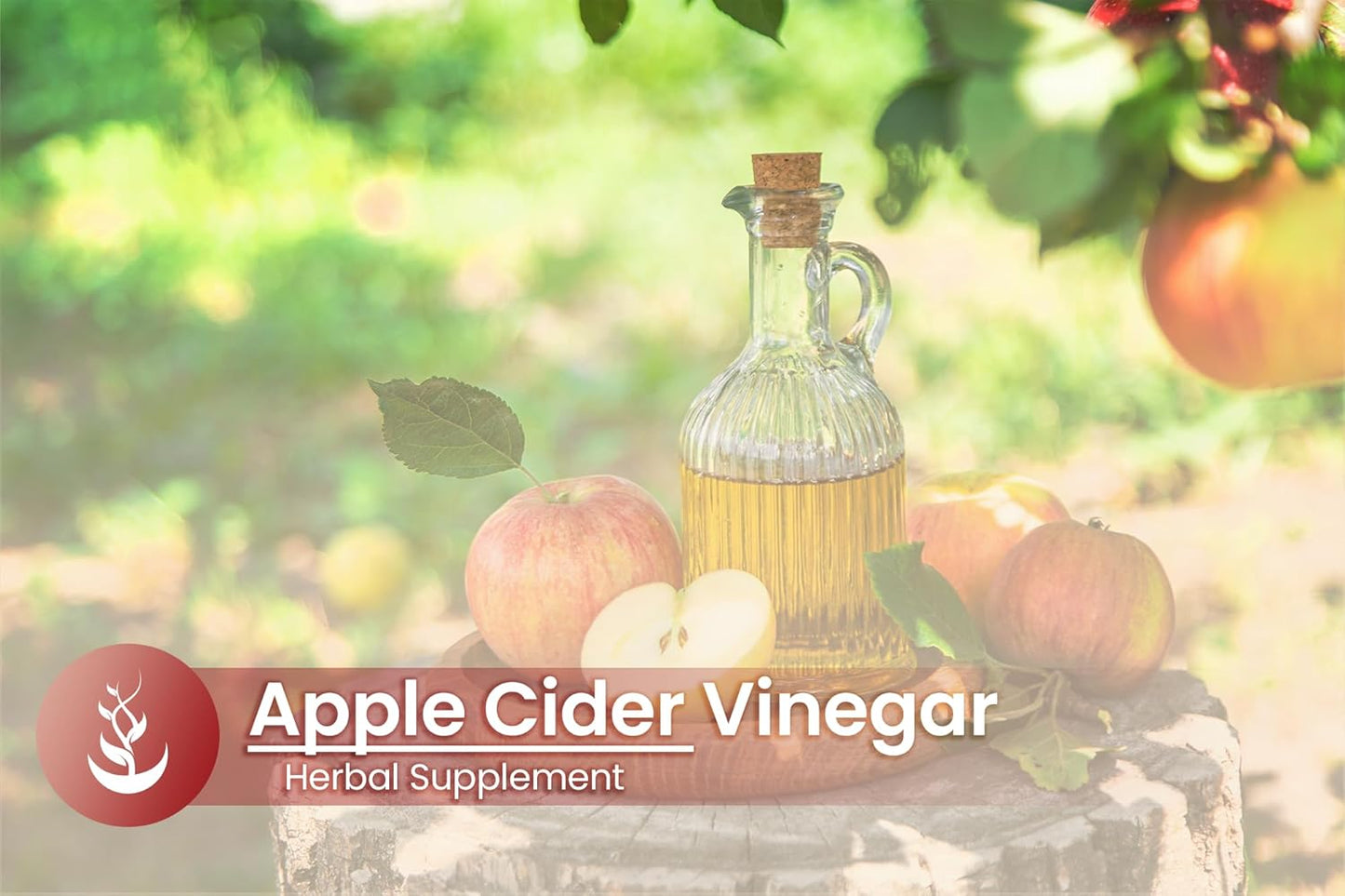 100 Capsules Pure Original Apple Cider Vinegar - No Additives, Lab Verified