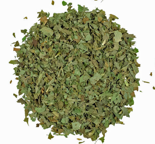 100% Certified Organic Moringa Leaf Herbal Tea - 1 lb (16oz) from EarthWise Aromatics