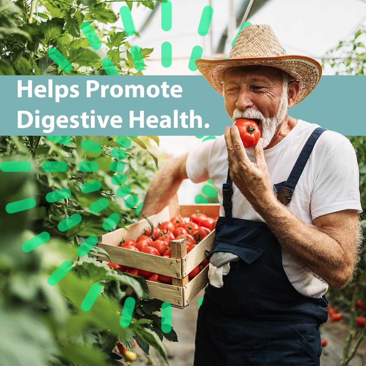 100 Count GeriCare Acidophilus with Pectin Probiotic Capsules for Intestinal Flora, Digestive Health, Immune Support, and Bone Strength