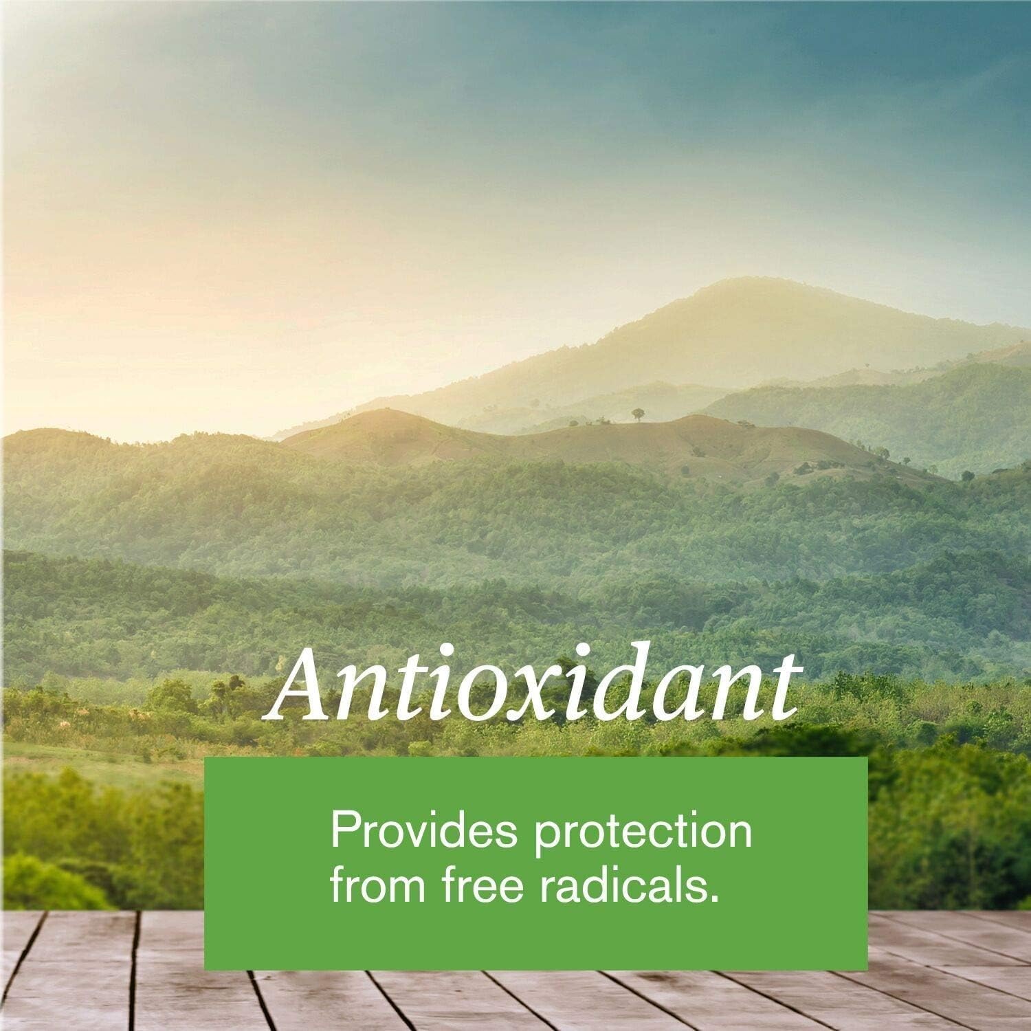 100 Count NATURE'S SUNSHINE E-Tea Capsules for Natural Health Boost