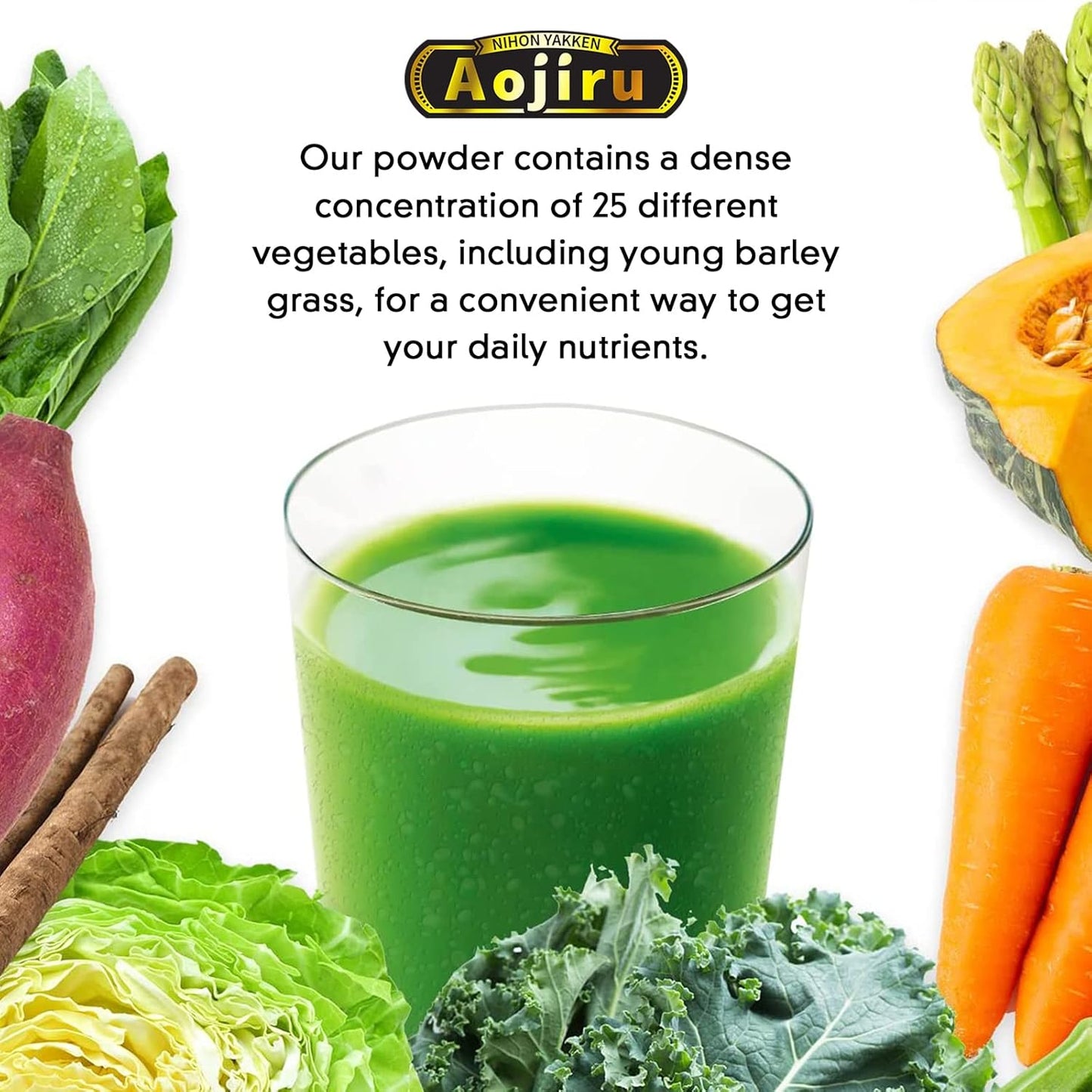 100% Japan-Made Nihon-Yakken Lactic Acid Bacteria Enzyme with 25 Vegetables