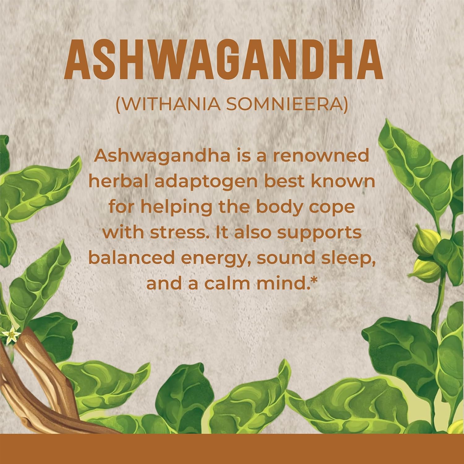 100% Natural Ashwagandha Tablets - 90 Tablets, 1000 mg | Vegan | Made in India | 45 Days Supply