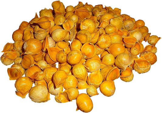 100% Natural Japanese Garlic - AJO Japones - Available in 5 Lbs Pack Size