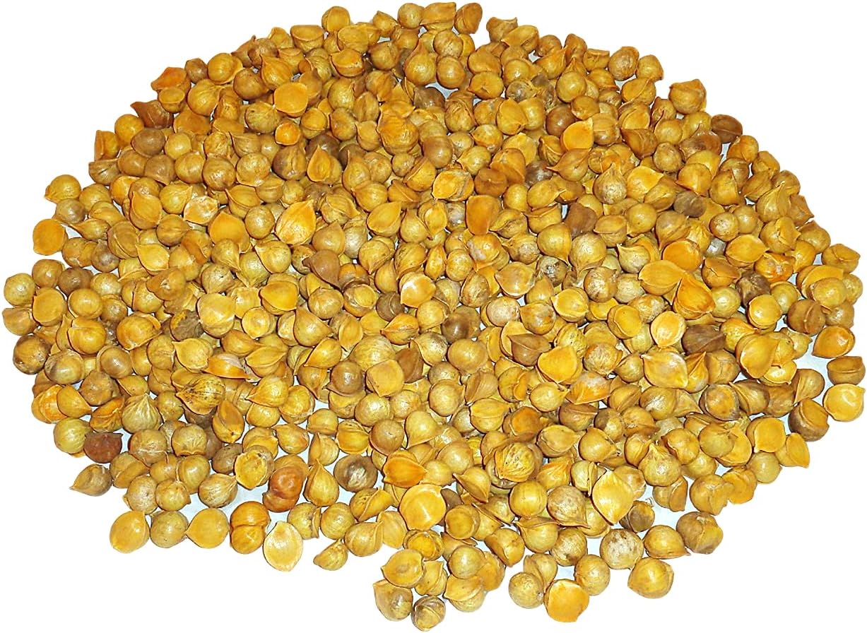 100% Natural Japanese Garlic - AJO Japones - Available in 5 Lbs Pack Size