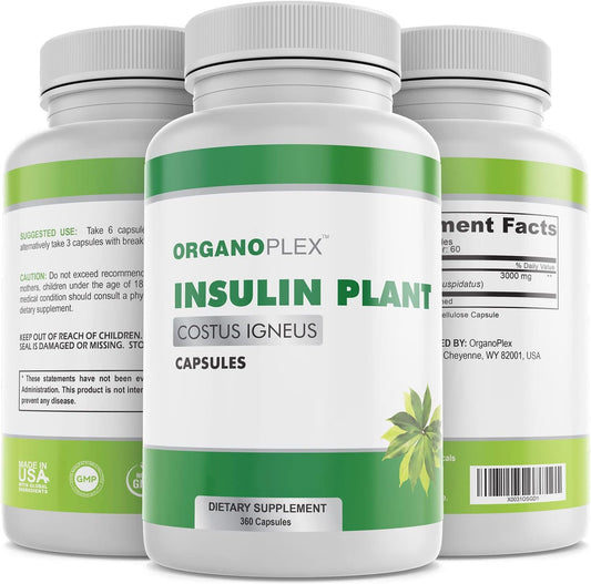 100% Natural ORGANOPLEX Insulin Plant Capsules (Costus Igneus) - 360 Veggie Caps, 2 Month Supply