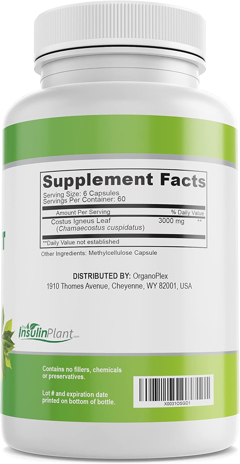100% Natural ORGANOPLEX Insulin Plant Capsules (Costus Igneus) - 360 Veggie Caps, 2 Month Supply