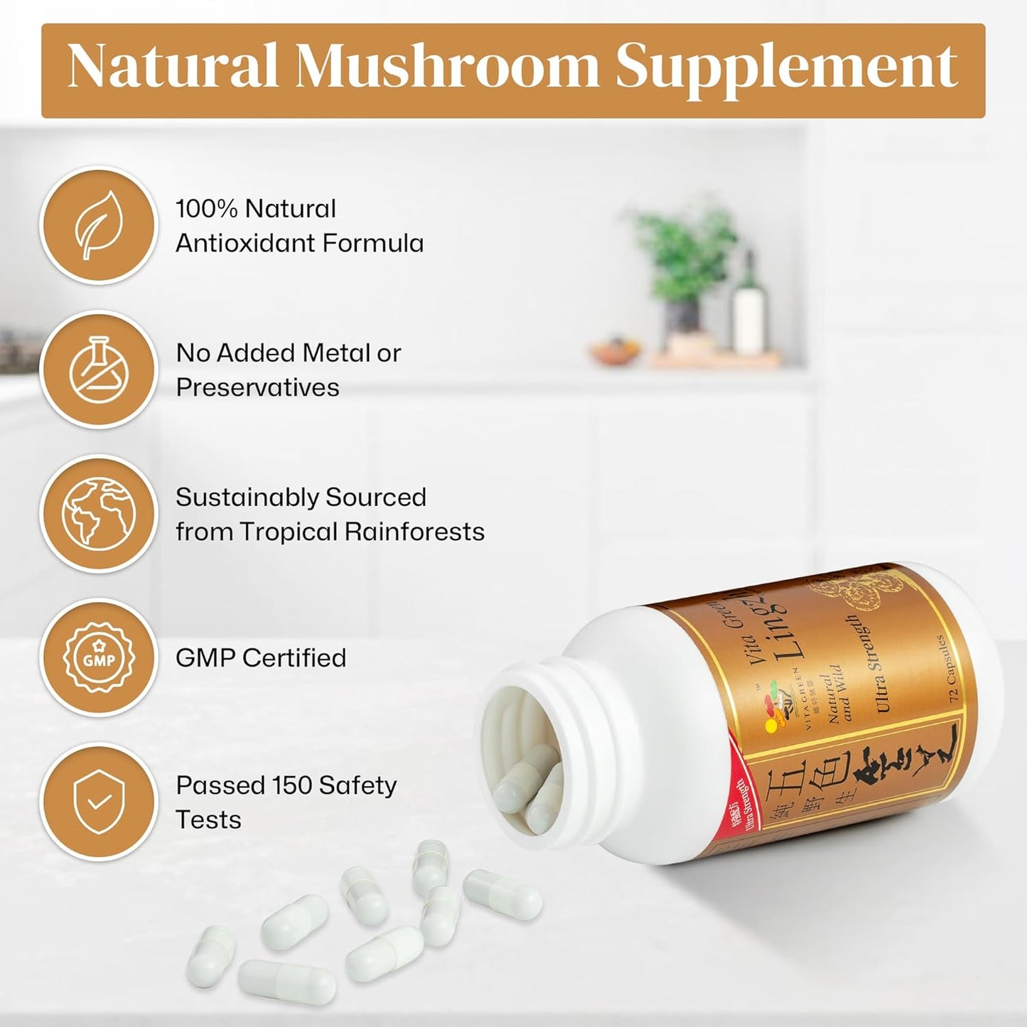 100% Natural Pure Antioxidant Reishi Mushroom Extract Capsules for Energy and Immune Support
