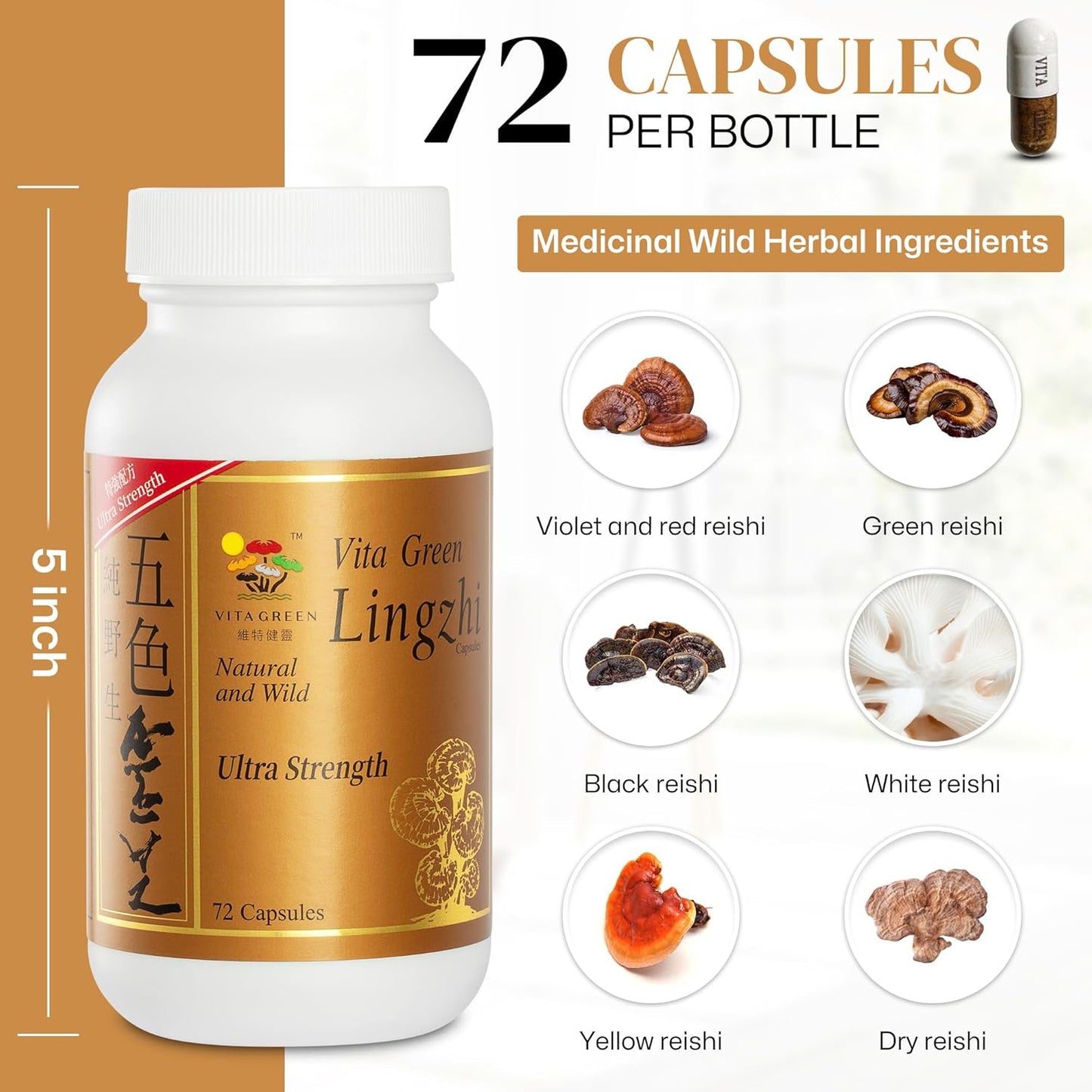 100% Natural Pure Antioxidant Reishi Mushroom Extract Capsules for Energy and Immune Support