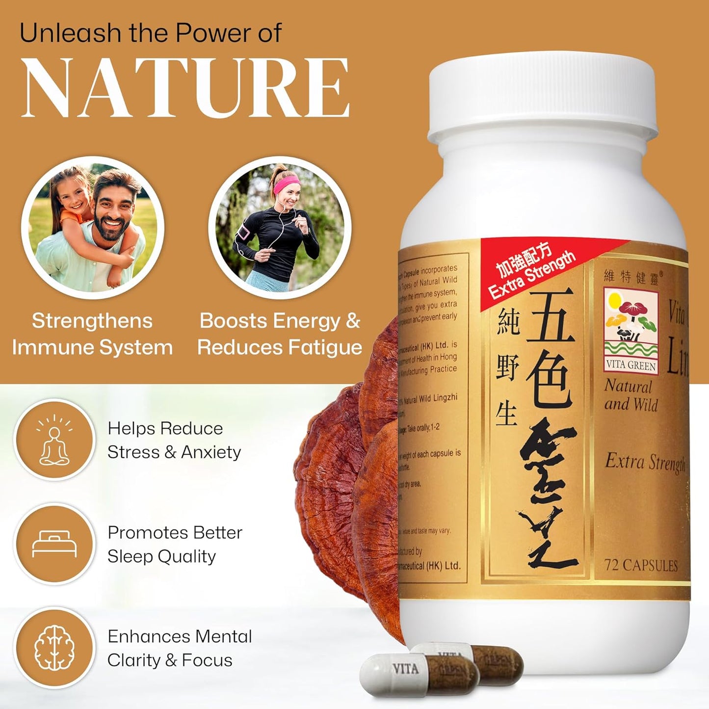 100% Natural Pure Antioxidant Reishi Mushroom Extract Capsules for Energy and Immune Support
