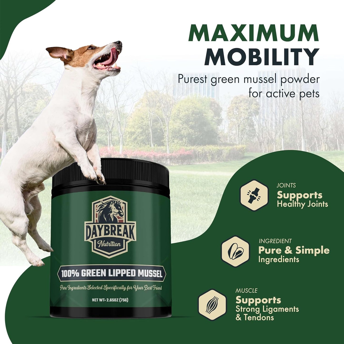 100% New Zealand Green Lipped Mussel Powder for Pets - Anti Inflammatory Supplement for Arthritis & Joint Pain - 75g