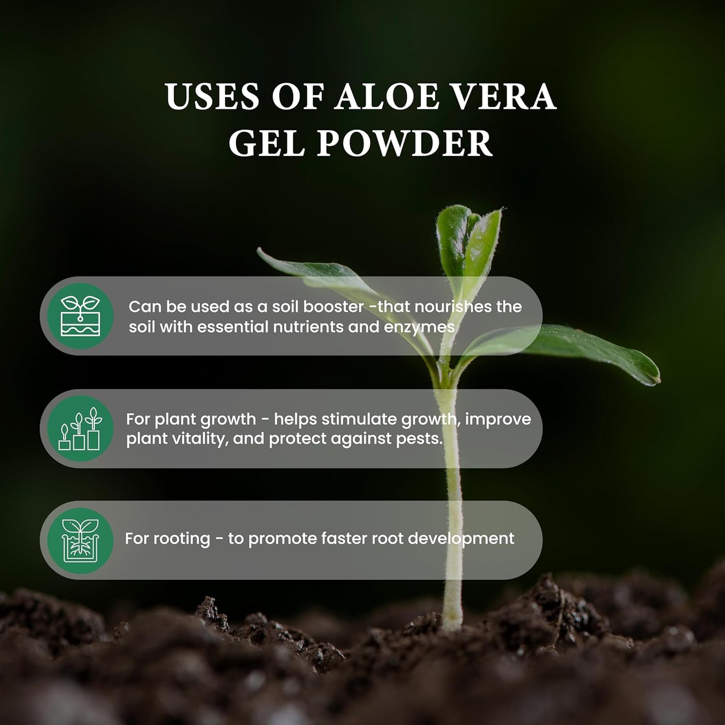 100% Pure Aloe Vera Gel Fertilizer Powder 200X 100g | Strong Rooting Stimulator | Plant Immunity Booster