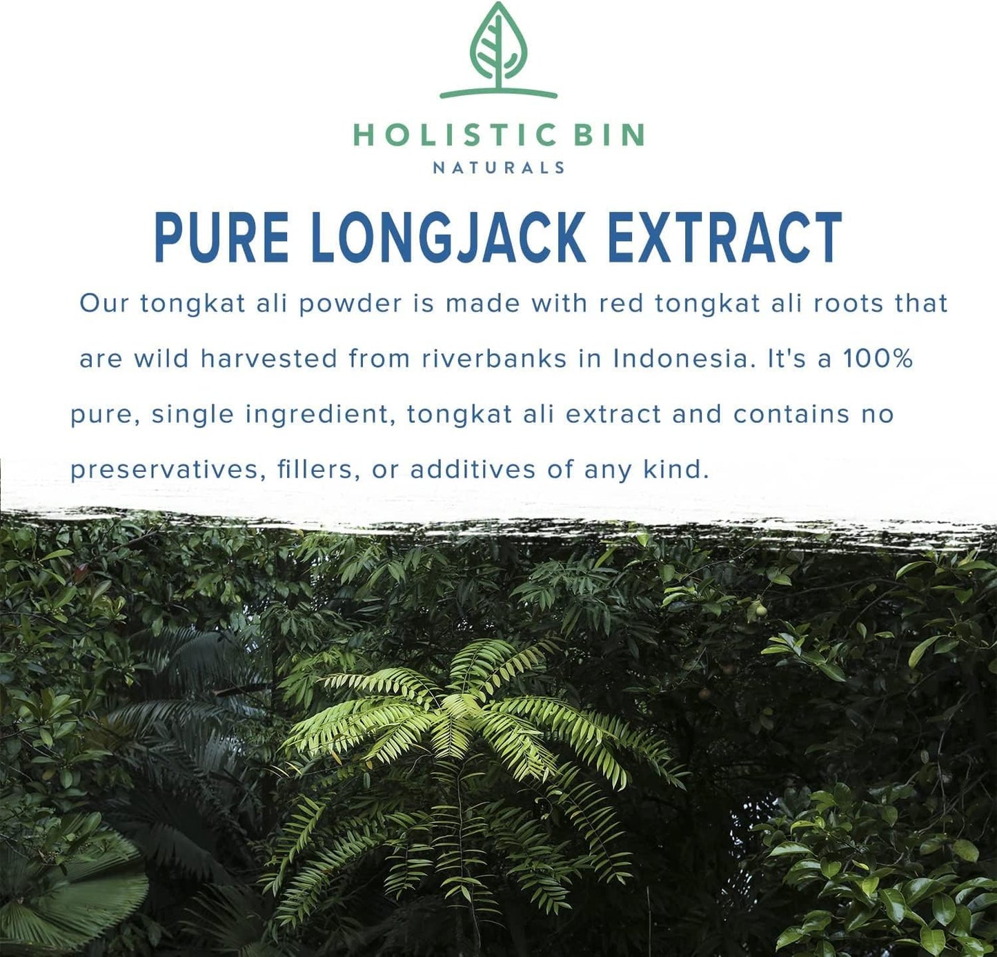 100% Pure Indonesian Red Tongkat Ali Powder - Organic Herbal Supplement for Energy, Stamina, and Vitality - Longjack Extract - No Fillers - 50g