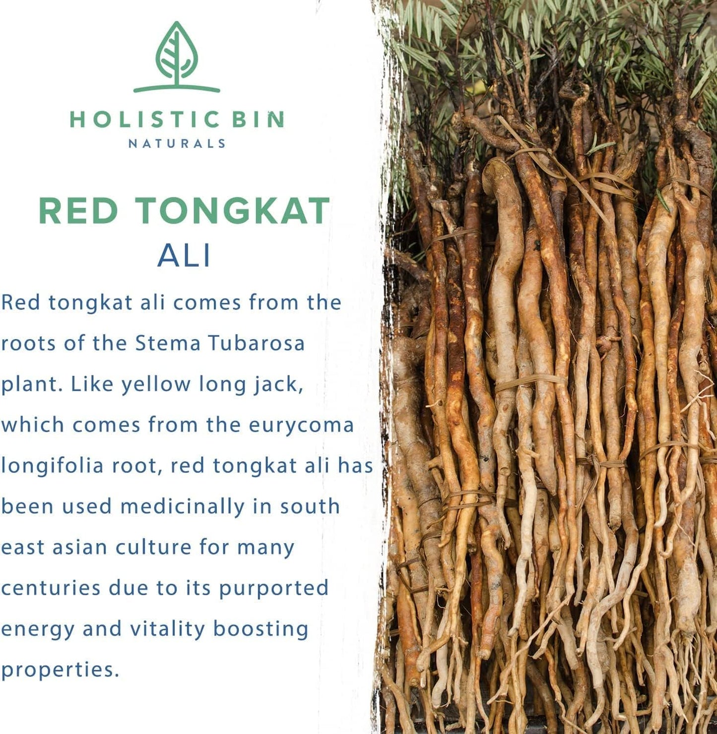 100% Pure Indonesian Red Tongkat Ali Powder - Organic Herbal Supplement for Energy, Stamina, and Vitality - Longjack Extract - No Fillers - 50g