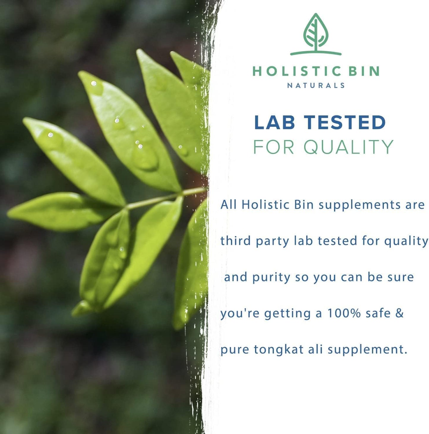 100% Pure Indonesian Red Tongkat Ali Powder - Organic Herbal Supplement for Energy, Stamina, and Vitality - Longjack Extract - No Fillers - 50g