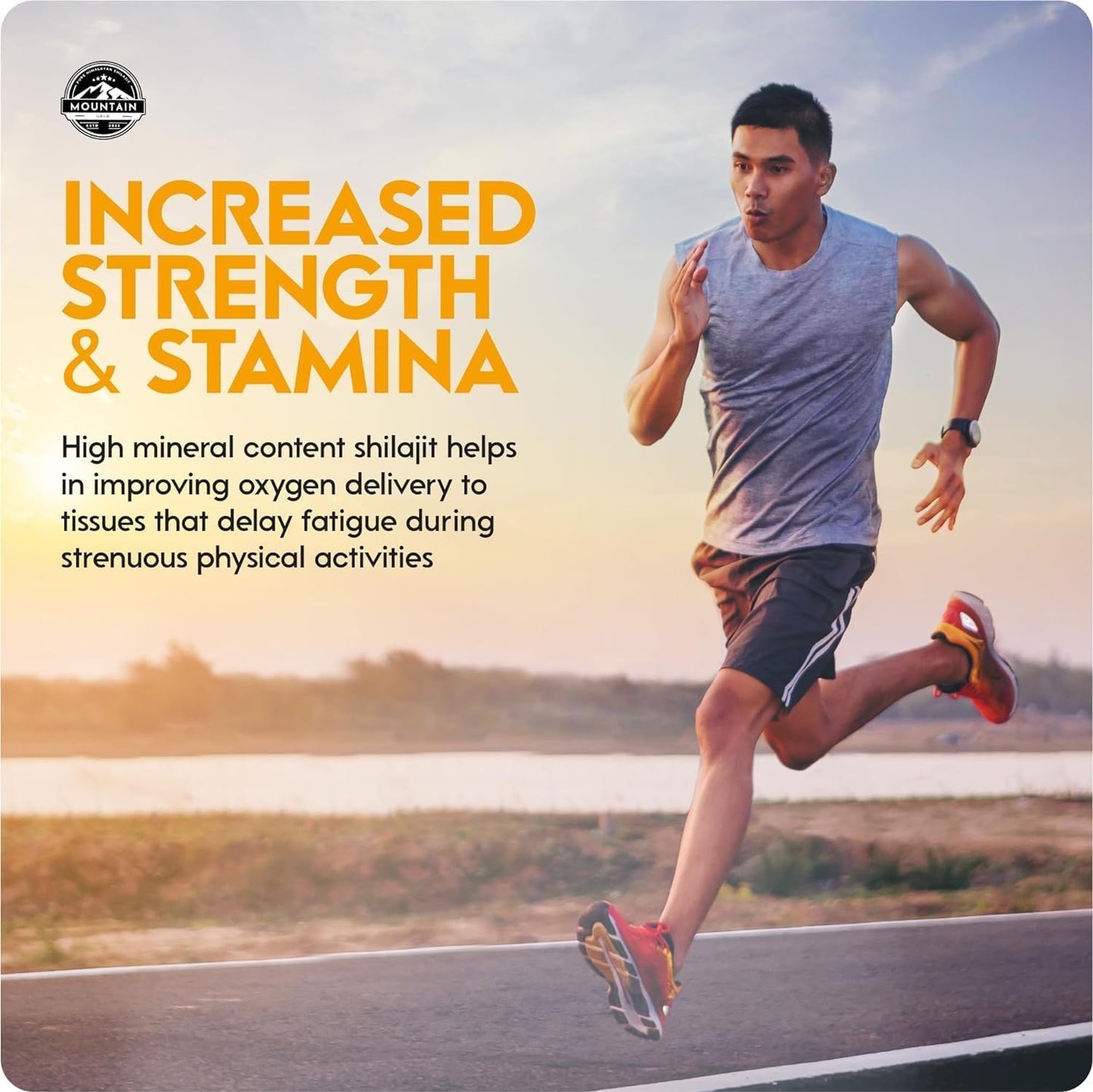 100% Pure Natural Himalayan Shilajit Resin - Rich in Humic & Fulvic Acid - Immune System Booster - Vegan - Mountain Gold (1)