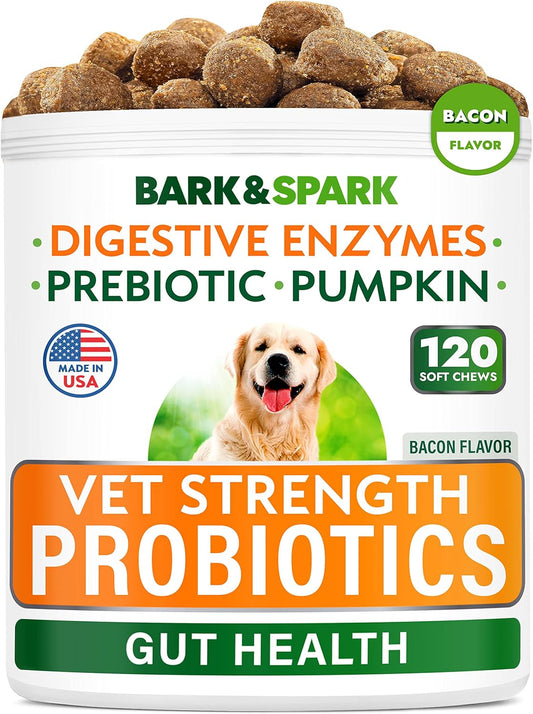 100 Vet Strength Probiotic Chews for Dogs - Relief for Gas, Diarrhea, Allergies, Constipation, Upset Stomach - With Digestive Enzymes, Pumpkin, Prebiotics - Chewable Fiber Supplement - Bacon Flavor