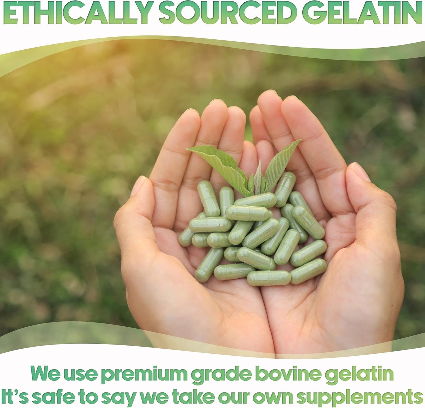 1000 Count Empty Gelatin Capsules for DIY Capsule Filling - Pure Bovine Empty Pill Capsules - XPRS Nutra Size 2 Empty Capsules - Orange