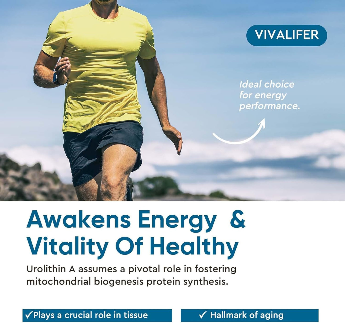 1000 MG Urolithin A Supplement - 90 Softgels for Healthy Aging and Enhanced Mitochondrial Support