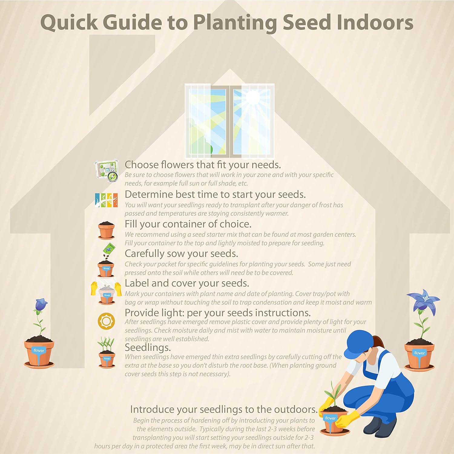 1000 Perennial Hypericum Perforatum St. John's Wort Yellow Flower Seeds for Planting by Outsidepride