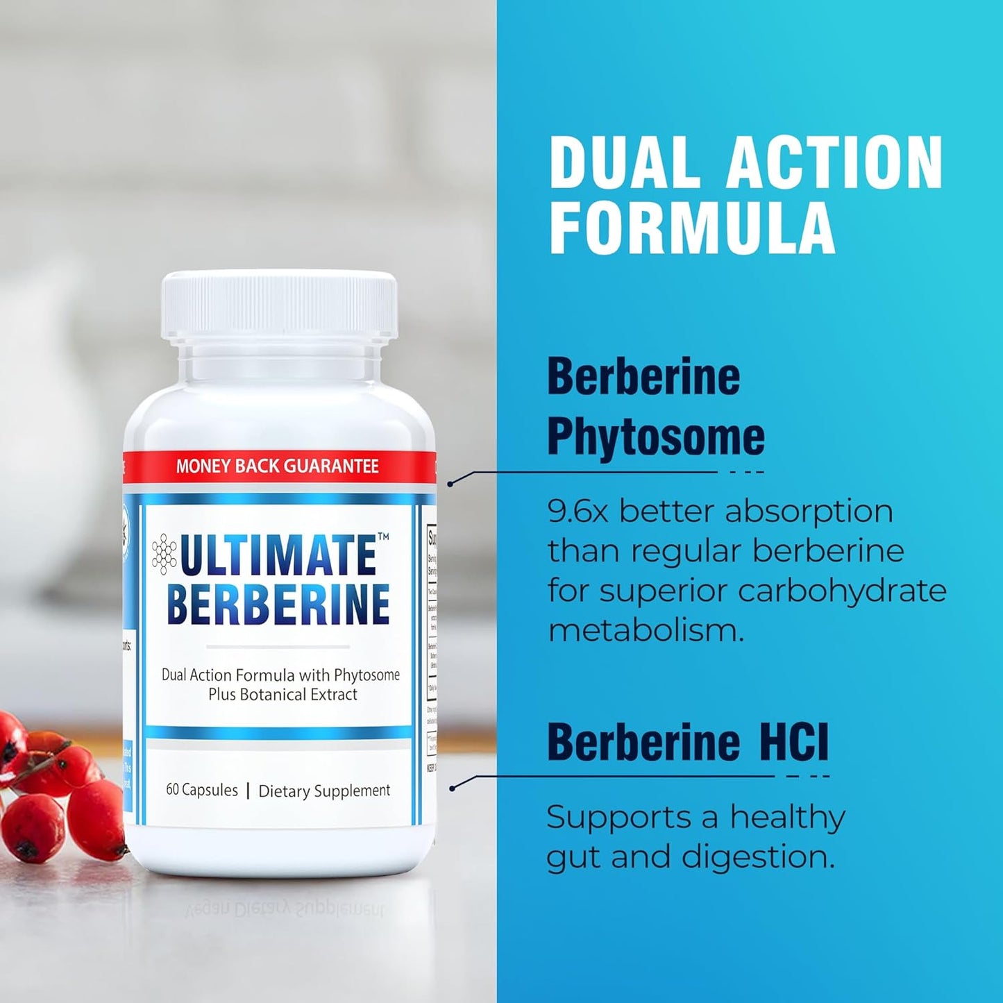 1000mg Berberine HCL Phytosome Supplement - Supports Healthy Weight, Metabolism, Immunity & Cholesterol - Dual Action Formula