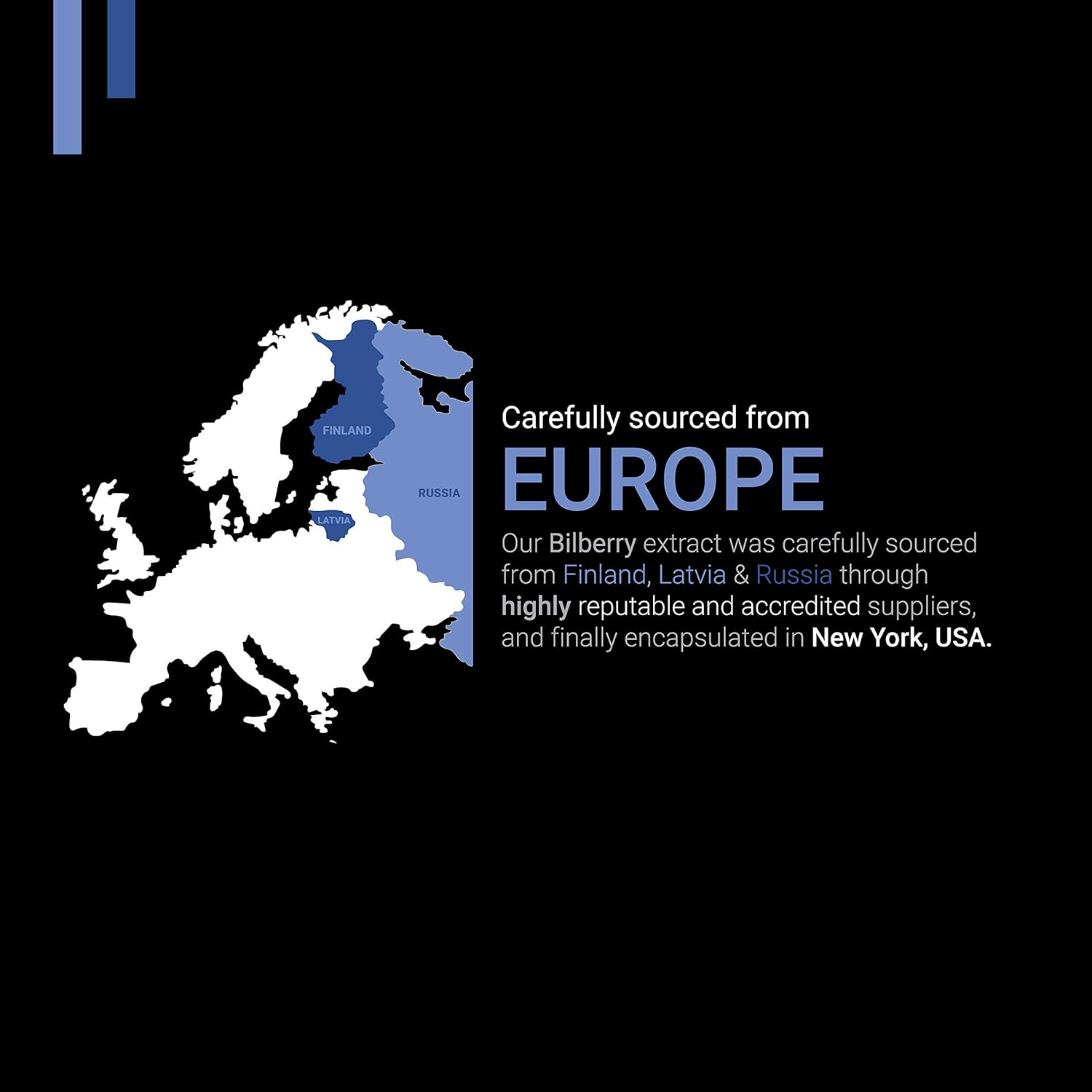 1000mg Bilberry Extract with 25% Anthocyanins - 120 V-Capsules, European Blueberry Supplement, Vegan & Gluten Free - Made in USA