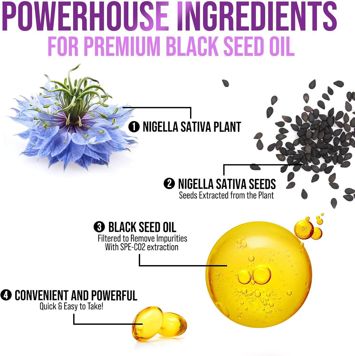 1000mg Black Seed Oil Capsules for Skin & Immune Support - Vegan & Non-GMO - 120 Softgels, Pure Nigella Sativa Seed Oil