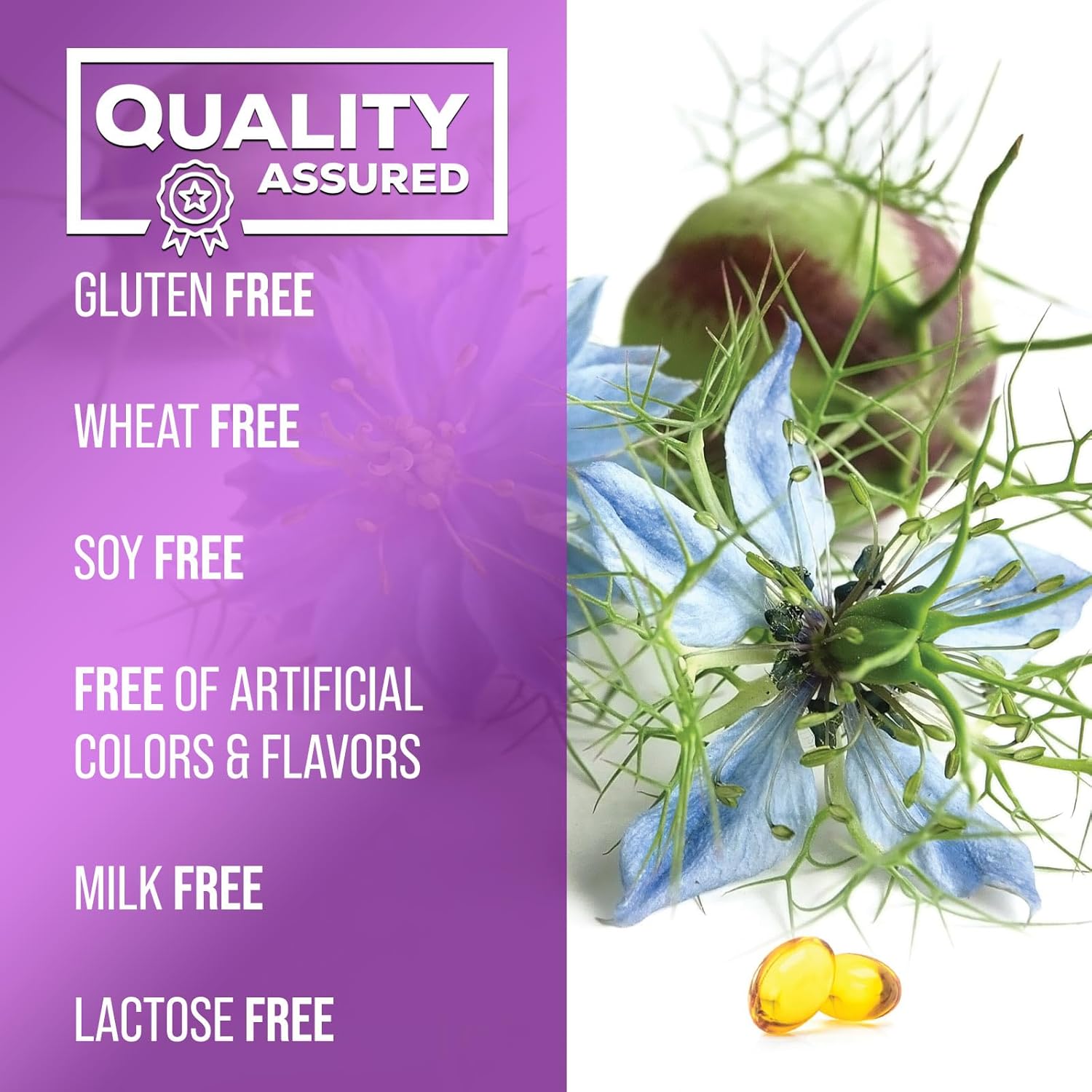 1000mg Black Seed Oil Capsules for Skin & Immune Support - Vegan & Non-GMO - 120 Softgels, Pure Nigella Sativa Seed Oil