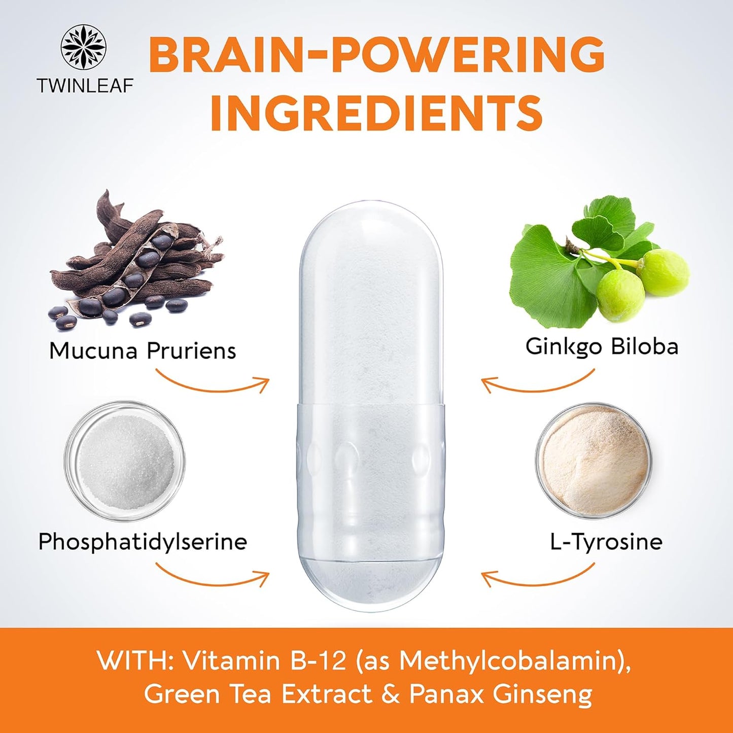 1000mg Dopamine Brain Support Supplement with Vitamin B12 and L-Tyrosine - Enhance Mental Well-Being - Made in USA - 60 Capsules