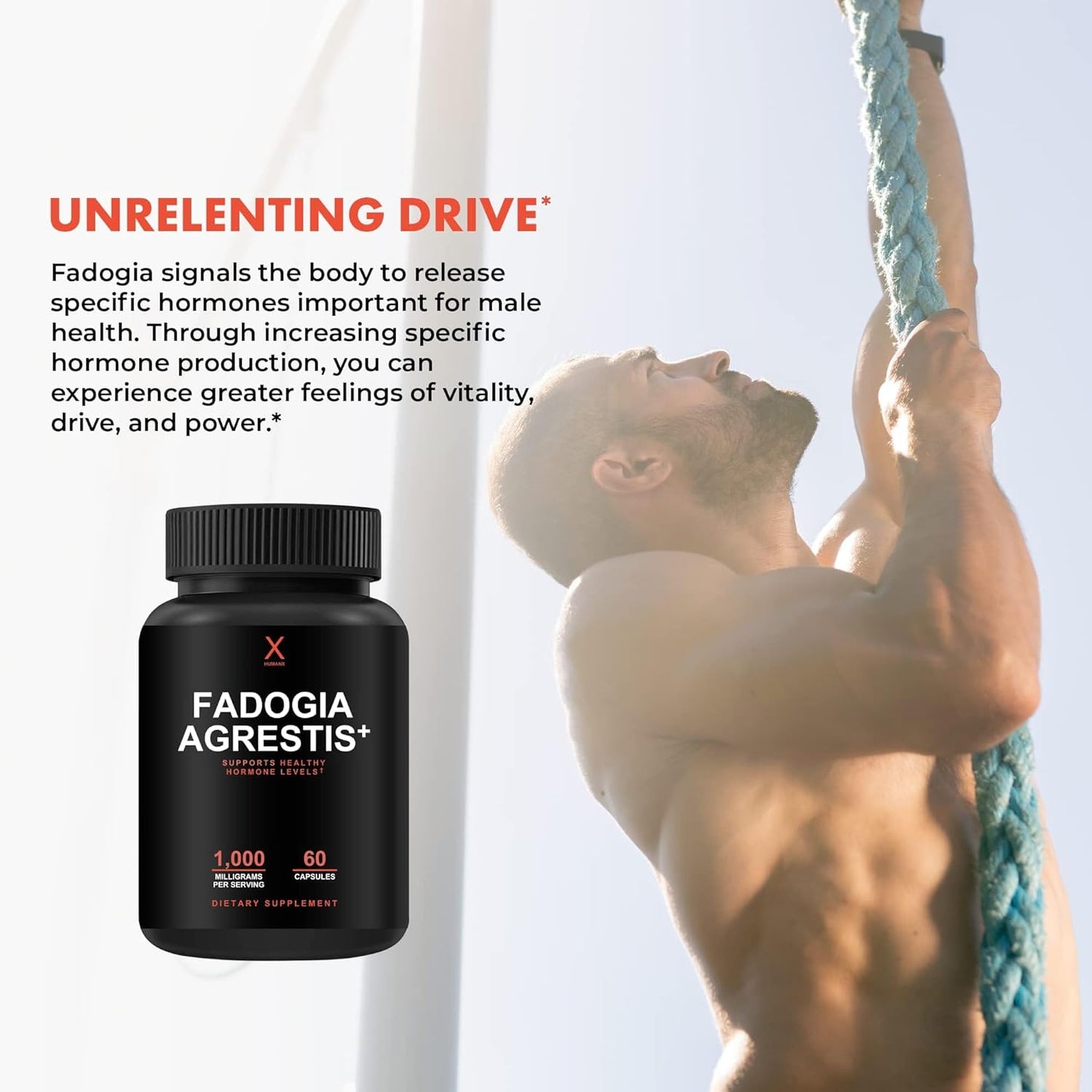 1000mg Fadogia Agrestis, Tongkat Ali & Beta Ecdysterone Supplement - USA Third Party Tested for Athletic Performance & Muscle Mass - Veggie Caps