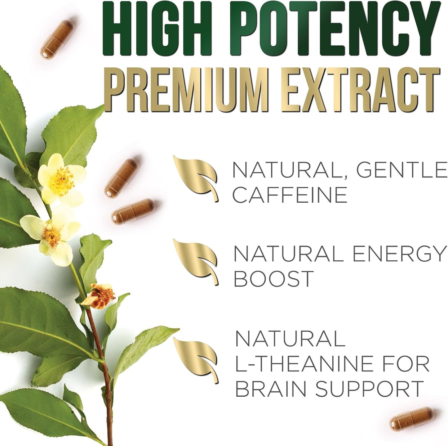 1000mg Green Tea Extract Pills - High Strength with 98% EGCG & Polyphenols for Energy & Heart Health - 60 Capsules