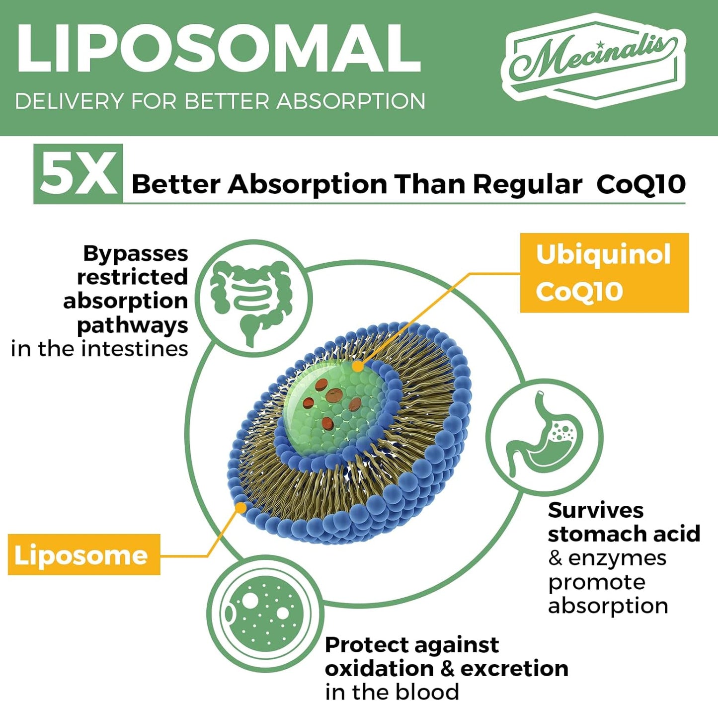 1000mg Liposomal CoQ10 Softgels for Heart Function & Energy Production - Vegan Ubiquinol Supplement with Better Absorption - Non-GMO - 120 Softgels